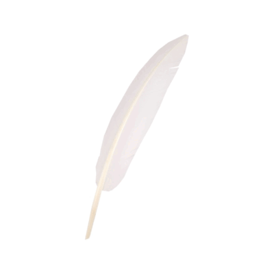 PENNA - CAPPELLO ALPINO - BIANCA