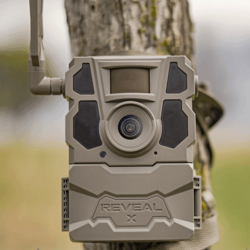 FOTOTRAPPOLA - TACTACAM - REVEAL GEN X 2.0 - immagine 4