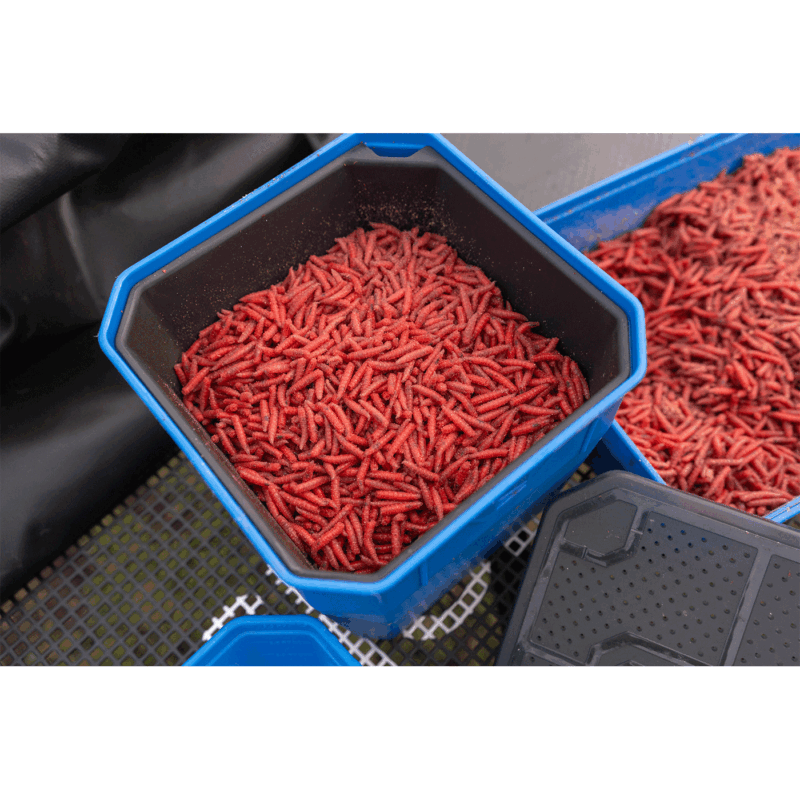 PRESTON - BAIT TUBE 2.3 LITRE 4 PINT - immagine 4
