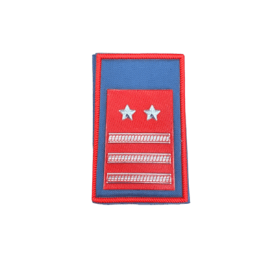 CARABINIERI - COPPIA TUBOLARI LUOGOTENENTE CARICA SPECIALE (CELESTI)