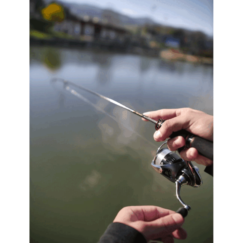 MULINELLO - DAIWA - 23 AIRITY ST SF2000SS-P - immagine 5