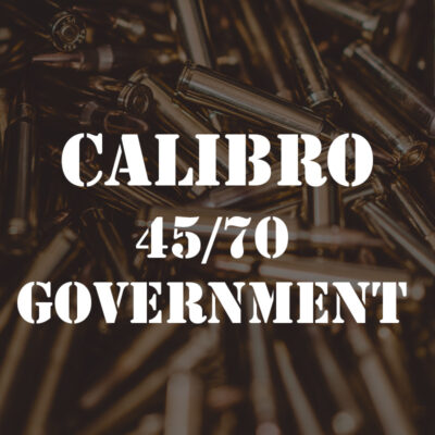 CALIBRO 45/70 GOVERNMENT