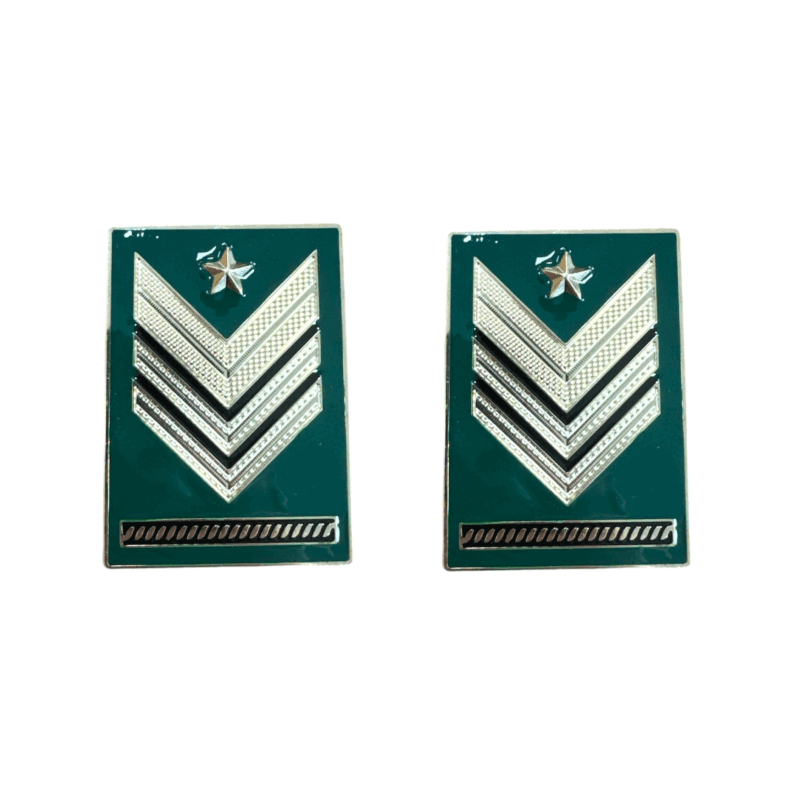 ESERCITO - GRADO METALLO SERGENTE MAGGIORE CAPO QUALIFICA SPECIALE (COPPIA)