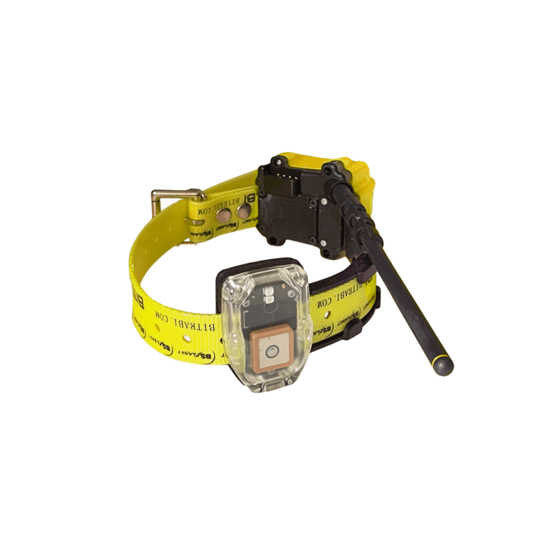 BITRABI - MITO 5200 COLLAR GPS + GSM - immagine 2