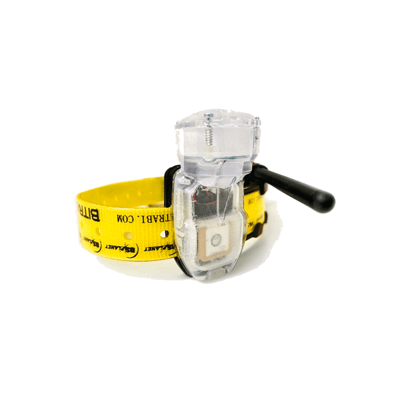 BITRABI - MITO 5200 COLLAR GPS + GSM - immagine 3