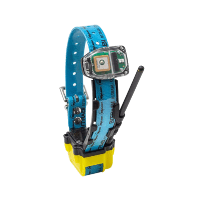 BITRABI - MITO 5300 COLLAR COMBI RADIO GPS + GSM