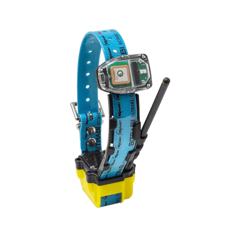 BITRABI - MITO 5300 COLLAR COMBI RADIO GPS + GSM