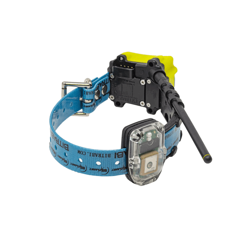 BITRABI - MITO 5300 COLLAR COMBI RADIO GPS + GSM - immagine 2