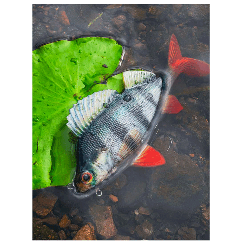 FOX RAGE - ULTRA NATURALS REPLICANT PERCH 18cm | 100g | Hook Size 1/0 - immagine 6