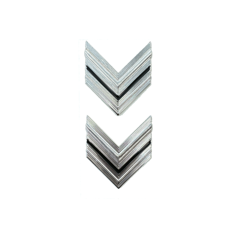 CARABINIERI - GRADO METALLO VICE BRIGADIERE (COPPIA)