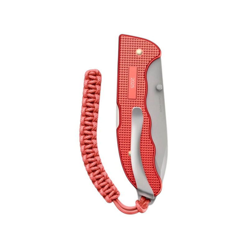 VICTORINOX - EVOKE ALOX LIMITED EDITION 2025 - immagine 3