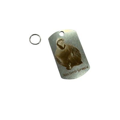 PIASTRINA CON OCCHIELLO | SCENA COTURNICE