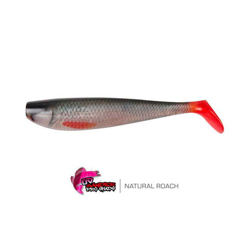 FOX RAGE - NATURALS ZANDER PRO BULK SHADS 14cm 5.5" | Ultra Realistic Roach