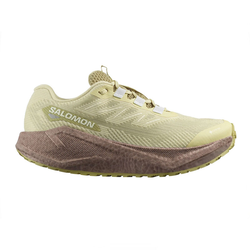 SALOMON - DONNA - AERO BLAZE 3 GRVL GTX W Green Haze / Iron / Ice Flow