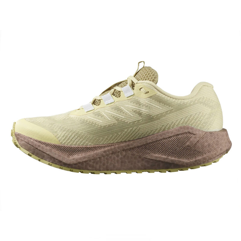 SALOMON - DONNA - AERO BLAZE 3 GRVL GTX W Green Haze / Iron / Ice Flow - immagine 4