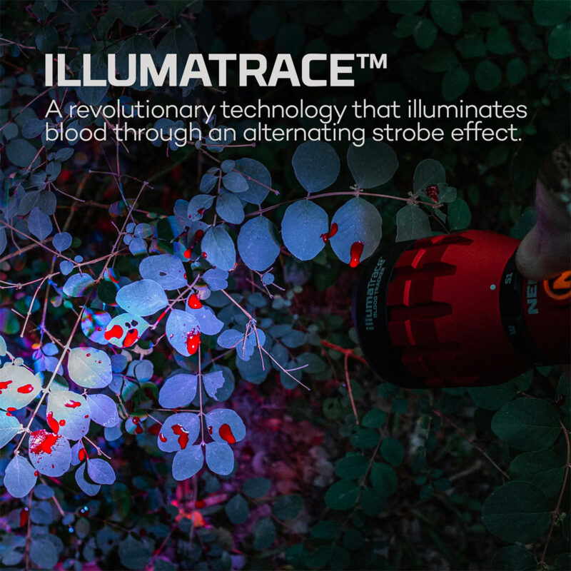 TORCIA - NEBO - ILLUMATRACE BLOOD TRACKER | RICARICABILE - immagine 3