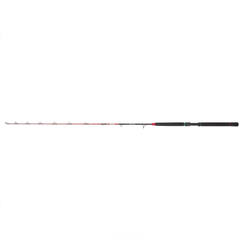 DAIWA - 19 NT TROLLING | 2,01m | 1sez. | 201cm | 20-30lb