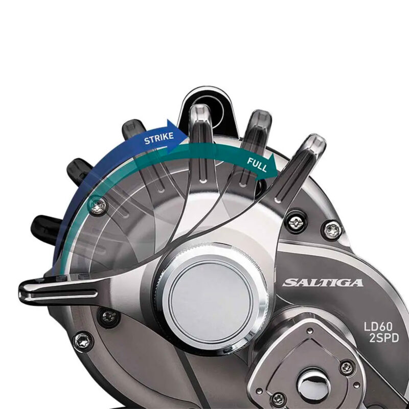 DAIWA - SALTIGA LD20-2SPD - immagine 3