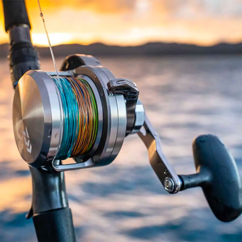 DAIWA - SALTIGA LD20-2SPD - immagine 4
