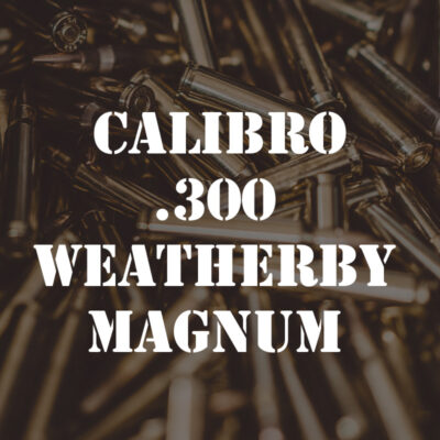 CALIBRO .300 WEATHERBY MAGNUM