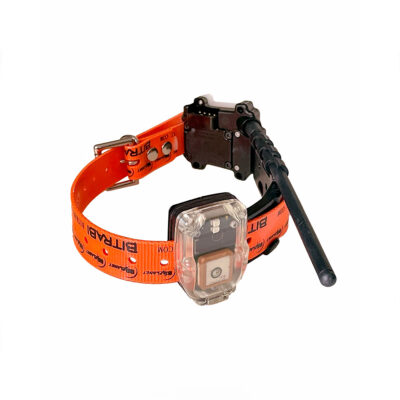 Alternative view of BITRABI - GNSS TRACKING COLLAR MITO 5100 PRO RADIO | GPS+RADIO