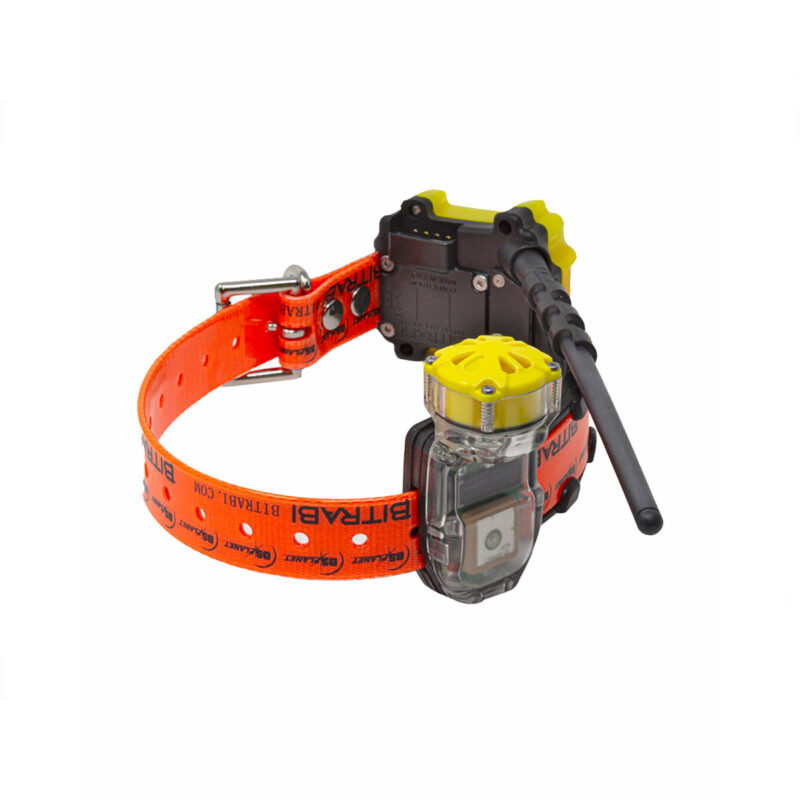 BITRABI - GNSS TRACKING COLLAR MITO 5100 PRO RADIO | GPS+RADIO - immagine 3
