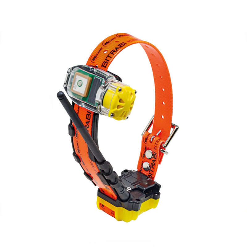 BITRABI - GNSS TRACKING COLLAR MITO 5100 PRO RADIO VERSION BEEPER | GPS+RAIO - BEEPER