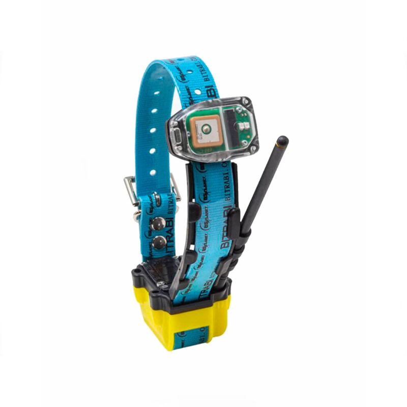 BITRABI - GNSS TRACKING COLLAR MITO 5300 PRO COMBI GPS-RADIO-TECHNOLOGY GSM