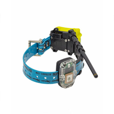 Alternative view of BITRABI - GNSS TRACKING COLLAR MITO 5300 PRO COMBI GPS-RADIO-TECHNOLOGY GSM