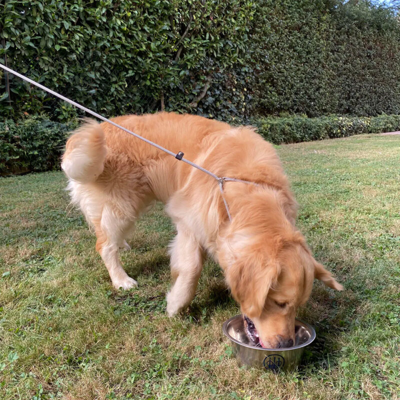 BERETTA - GUINZAGLIO RIFLETTENTE CON COLLARE PER ADDESTRAMENTO CANI by Ferplast - immagine 2