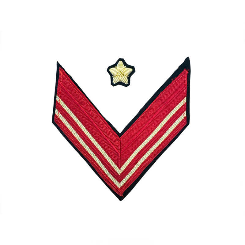 ESERCITO - GRADO GUS IN TESSUTO APPUNTATO SCELTO QUALIFICA SPECIALE