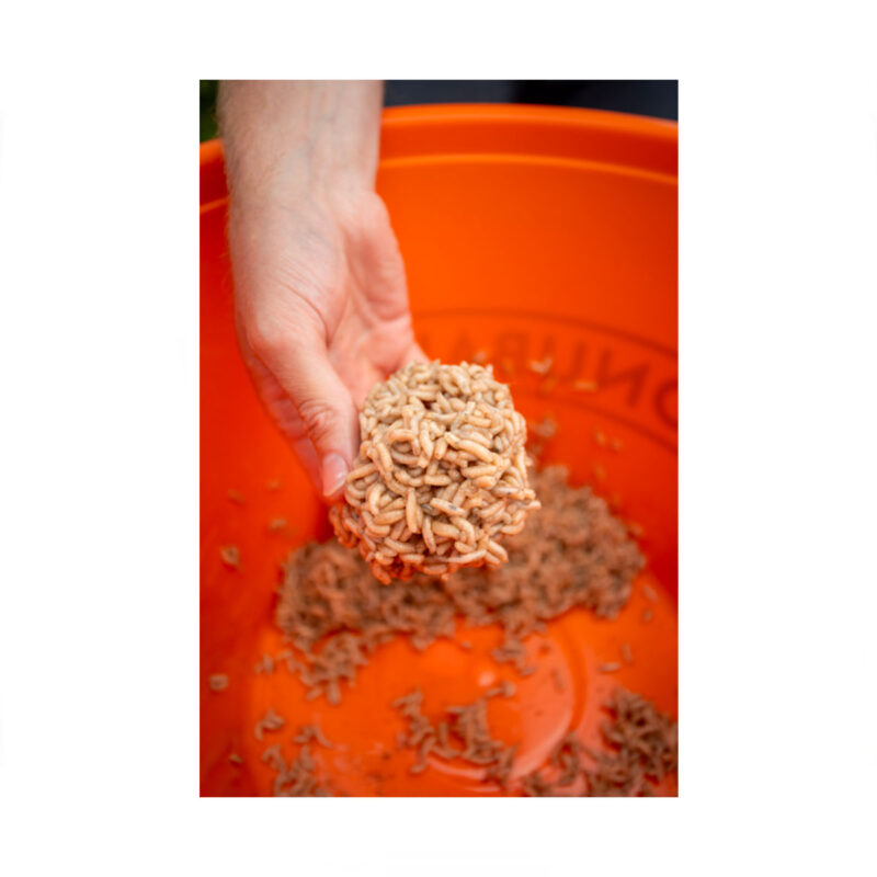 SONUBAITS - MAGGOT GLUE | COLLA PER VERMI | 300g - immagine 6