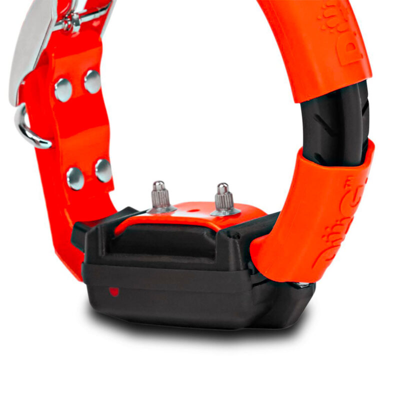 DOG TRACE - MODULO ADDESTRAMENTO X30T CON LUCE