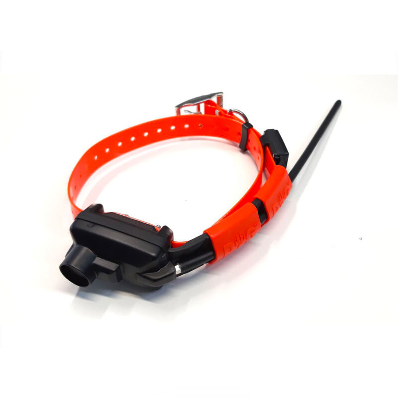 DOG TRACE - MODULO ADDESTRAMENTO X30T CON LUCE - immagine 2