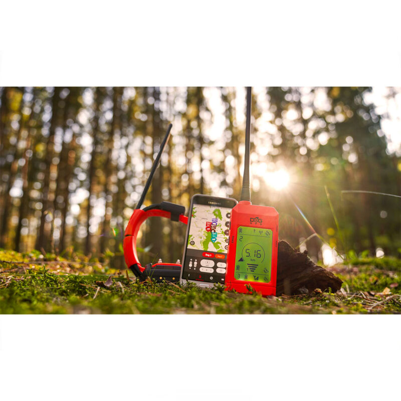 DOG TRACE - MODULO ADDESTRAMENTO X30T CON LUCE - immagine 3