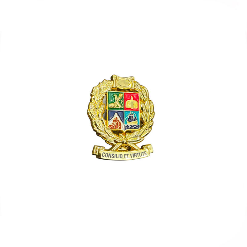 DISTINTIVO/SPILLA GUARDIA DI FINANZA SCUOLA ISPETTORI E SOVRINTENDENTI "CONSILIO ET VIRTUTE"