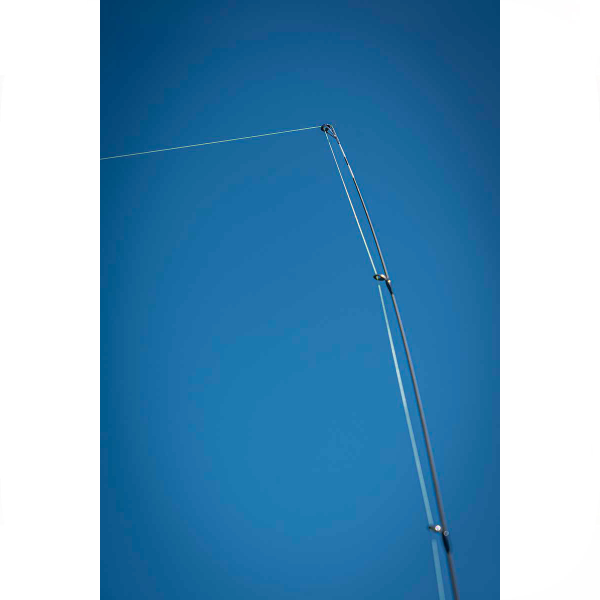 FOX RAGE - WARRIOR DROPSHOT 4-17g | 220cm | 2pcs - immagine 11