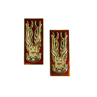 POLIZIA DI STATO - ALAMARI/MOSTRINE GIACCA