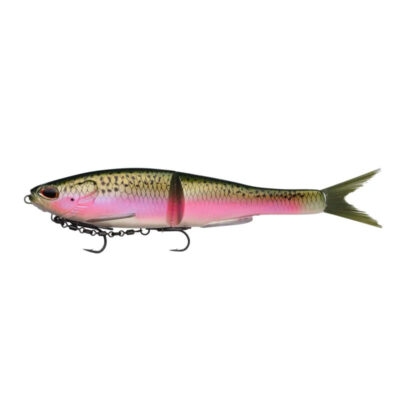 BERKLEY - POWERBAIT® NESSIE 22cm 57g | Slow Sinking | Rainbow Trout