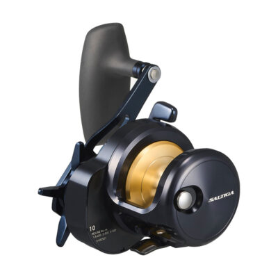 MULINELLO - DAIWA - 25 SALTIGA 10L