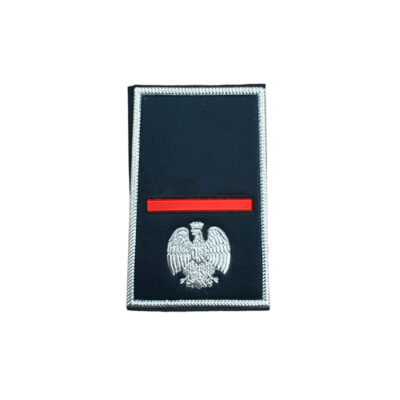 POLIZIA PENITENZIARIA - GRADO TUBOLARE AGENTE SCELTO (PLASTIFICATO) (COPPIA)