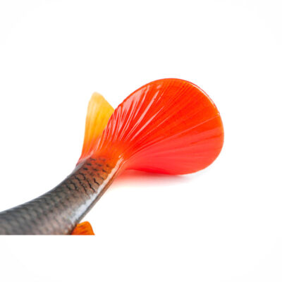 FOX RAGE - ULTRA NATURALS ROACH | 18cm 7" | Ultra Natural Roach - immagine 3