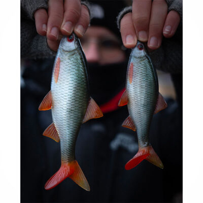 FOX RAGE - ULTRA NATURALS ROACH | 18cm 7" | Ultra Natural Roach - immagine 5