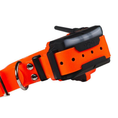 DOG TRACE - GPS X40 | COLLARE AGGIUNTIVO - immagine 5