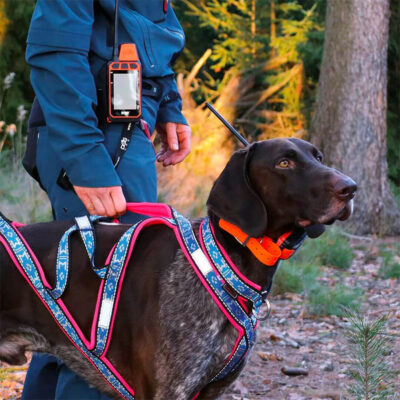 DOG TRACE - GPS X40T | COLLARE AGGIUNTIVO - immagine 10