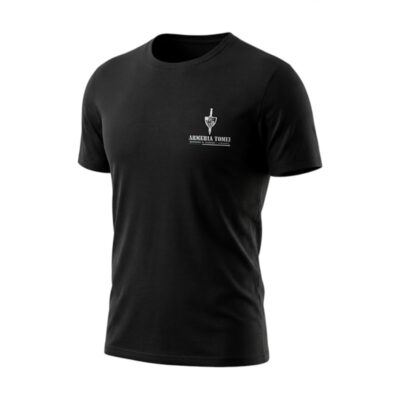 T-SHIRT - ARMERIA TOMEI x GTA 6 | "SHE SAID GTA 6 or ARMERIA TOMEI" | LIMITED EDITION